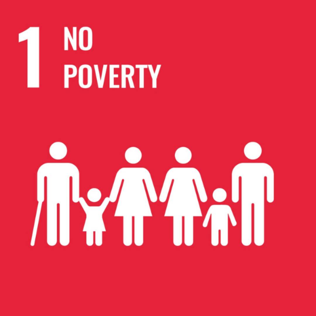 Home SDG 1 No Poverty